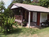 Floral House 2*