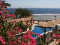 Nesima Hotel &amp; Diving Center Dahab 4*