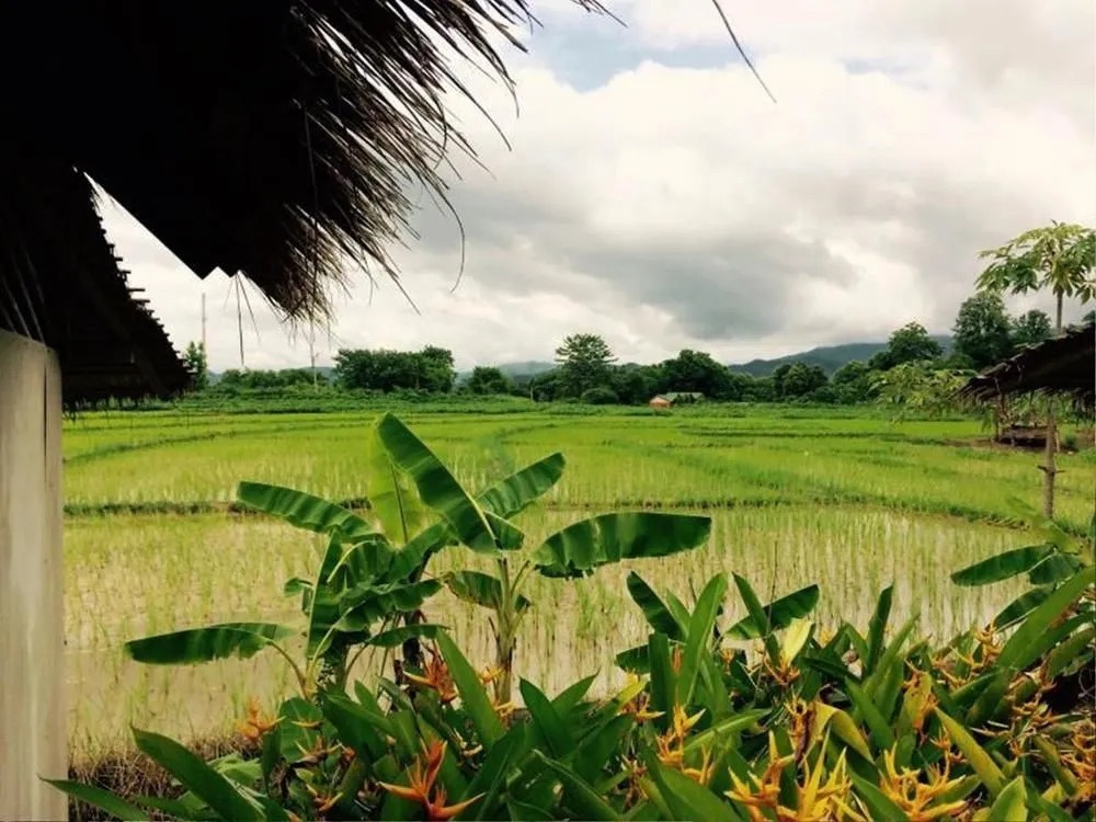 Pai Lanna Resort 2*