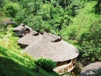 Tadplacamp Healing Retreat 3*