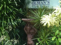 Olmans View Resort 3*