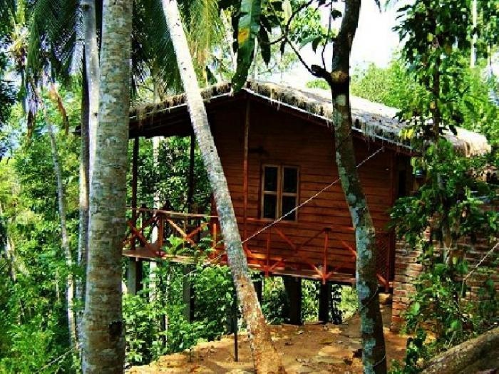 Polwaththa Eco Lodges 3*