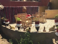 The Mango Guest House 