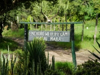 Enchoro Wildlife Camp Masai Mara 2*