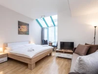 Terrace Hotel Prague 3*