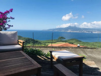 Ti Panoramik
