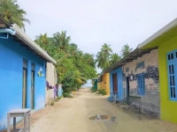 Explore Island Inn 3*