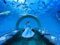 You &amp; Me Maldives 5*