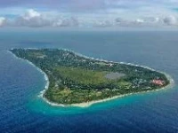 Shark lounge 4*