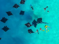 SWARN BY HAWKS HOTELS (ex. CLARKS EXOTICA KAMADHOO MALDIVES) 2*