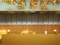 PINE ASTORIA 5*