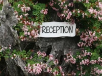 Tanglewood Gardens Rainforest Retreat 3*
