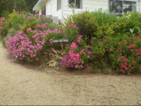 Classic Cottages