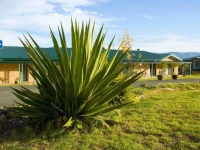 Talga Estate 4*