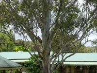 The Bearded Dragon Boutique Hotel 2*