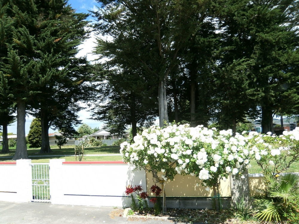 Pania Lodge Motel 5*