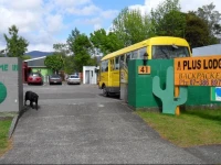 A Plus Samurai Lodge Backpackers 3*