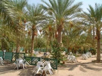 Residence El Arich 