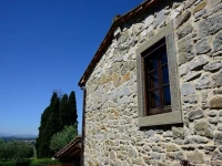 Villa Giulia 