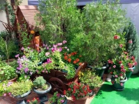 АдлерОк гостевой дом 