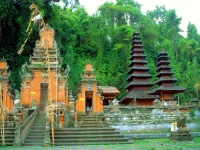 Fortuna-2 Bali 2*
