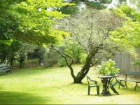 Blackheath Motor Inn 3*