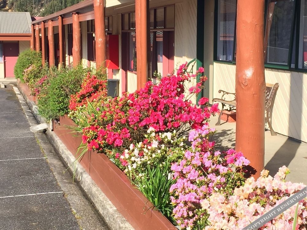 Comfort Inn Gold Rush 3*