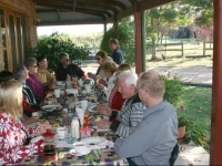 The Vineyard Motel 3*