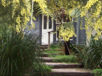 Old Leura Dairy
