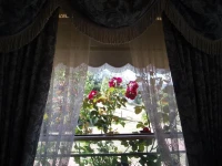 Birches Luxury Spa Chalets 4*