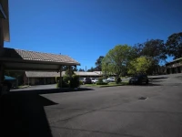 Molly Morgan Motor Inn 3*
