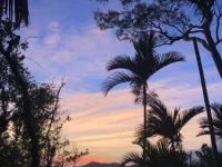 Pandanus Holiday Apartments 4*