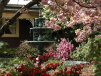 Rosies Inn 4*