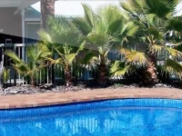 Thurgoona Country Club Resort 3*
