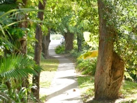 Mantra PortSea 4*