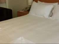 Best Western Governor Gipps Motor Inn 3*