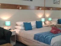 Elsinor Motor Lodge 3*