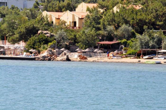 Ayvalik Beach 