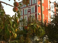 Boss 2 Hotel 2*