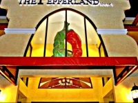 Pepperland Hotel 3*