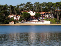 Les Hortensias Du Lac