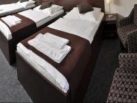 Zebetinsky Dvur Brno Hotel 3*