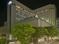 Akita View Hotel 3*