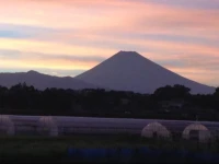 Daisenya 3*