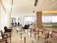 Richmond Hotel Premier Musashikosugi 3*