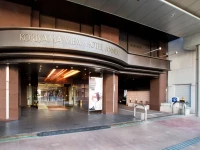 Koriyama View Hotel Annex 4*