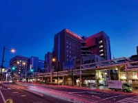 Kurume Washington Hotel Plaza 3*