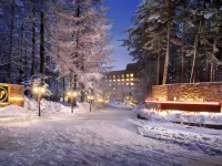 Kusatsu Now Resort Hotel 3*