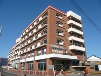 Hotel Nankaiso 3*