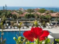 Kanucha Bay Hotel & Villas 4*
